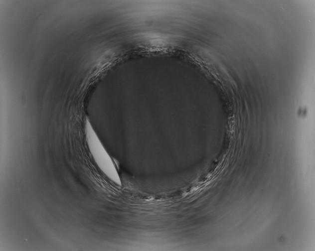 X0000098230916200805151337