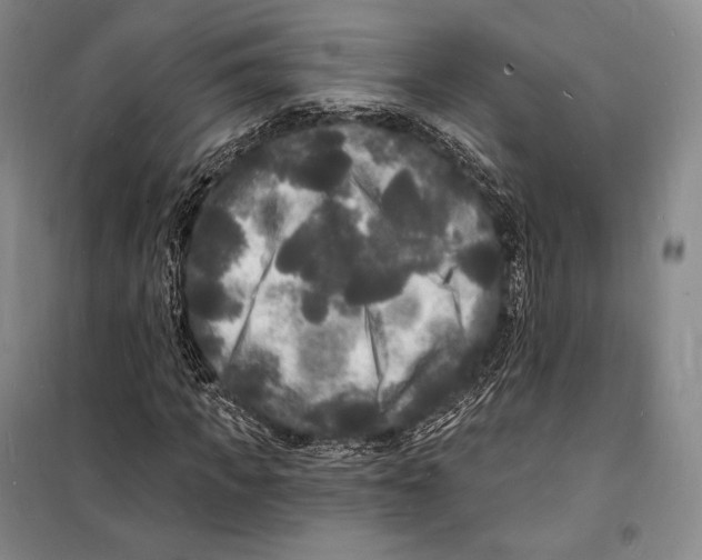 X0000098230917200805151337