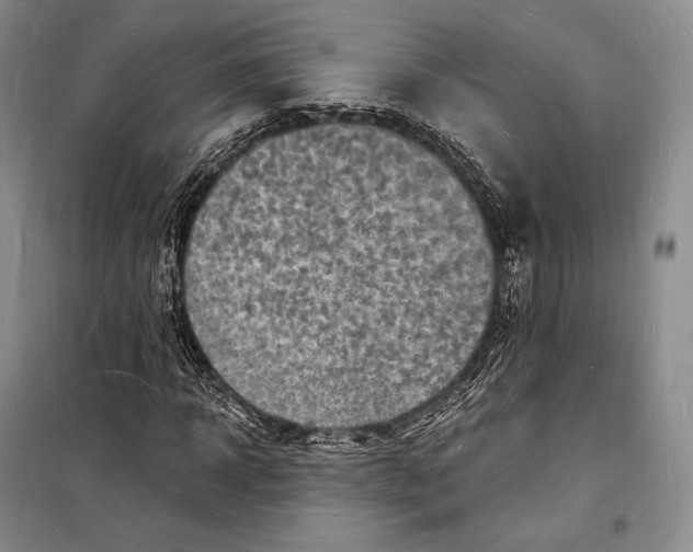 X0000098230918200805151337