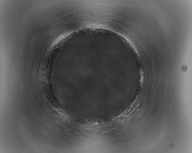 X0000098230919200805151337