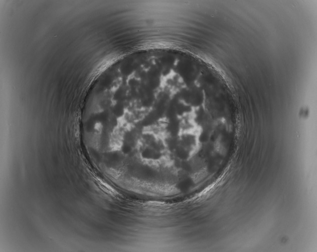 X0000098230921200805151337