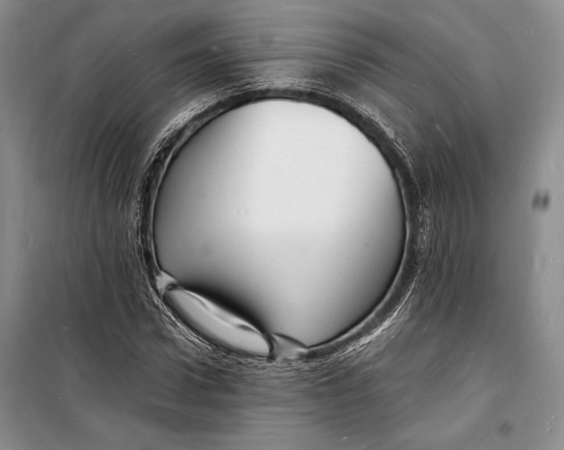 X0000098230922200805151337