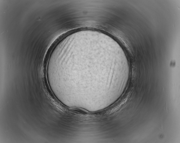 X0000098230924200805151337