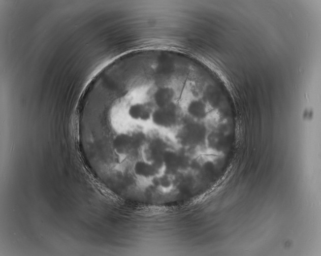 X0000098230925200805151337