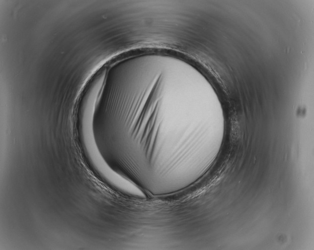 X0000098230926200805151337