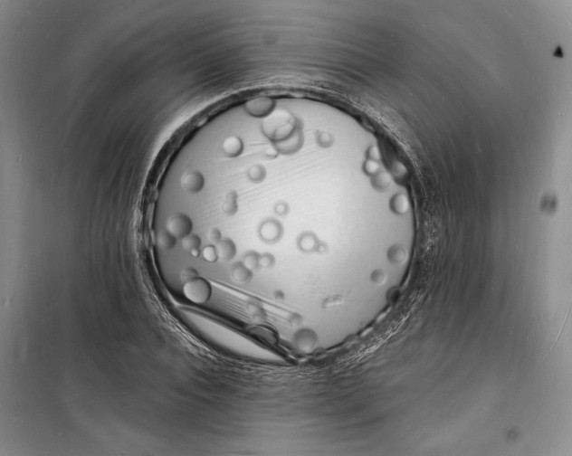 X0000098230928200805151337