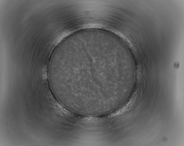 X0000098230929200805151337