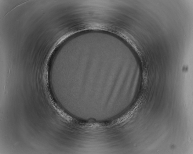 X0000098230931200805151338