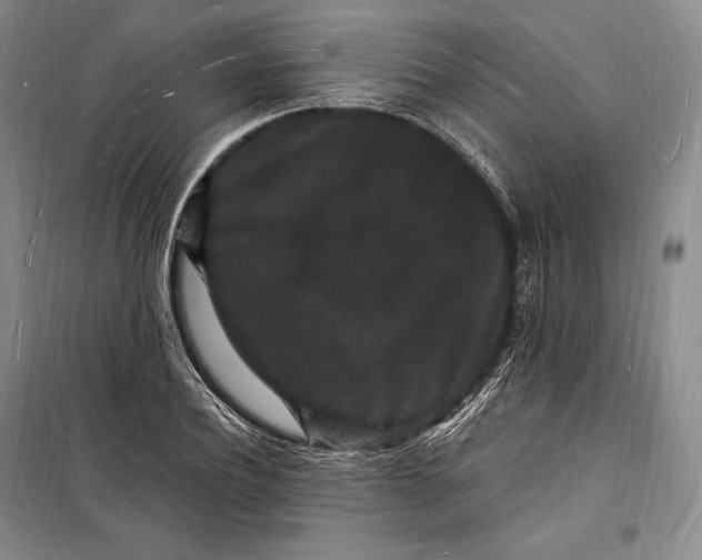 X0000098230932200805151338