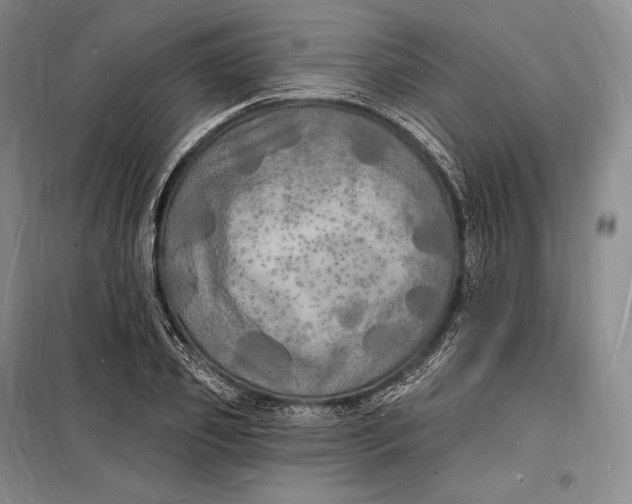 X0000098230933200805151338