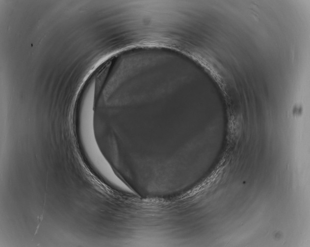 X0000098230934200805151338