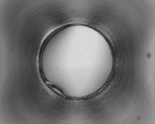 X0000098230936200805151338