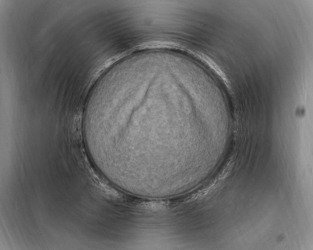 X0000098230937200805151338