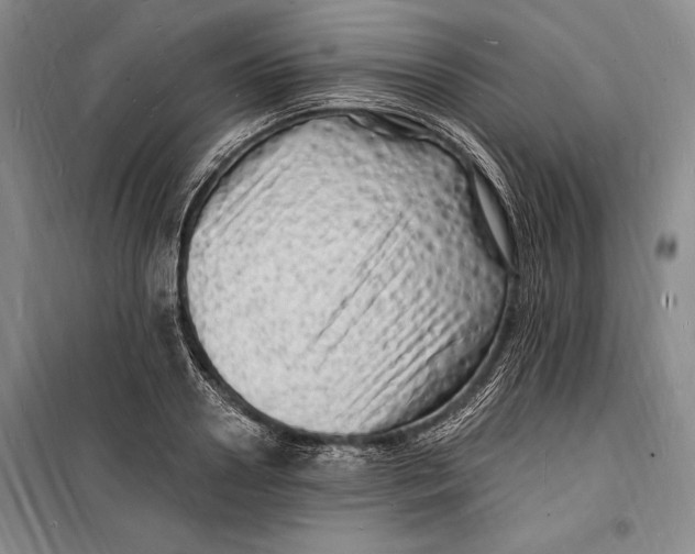 X0000098230938200805151338