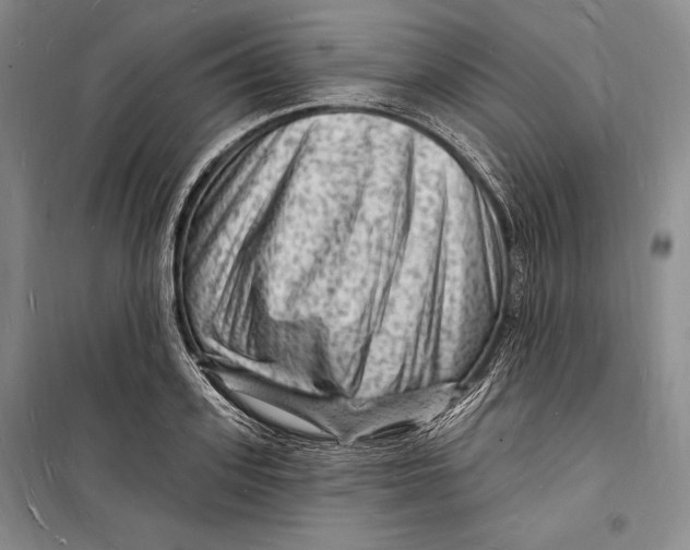 X0000098230939200805151338