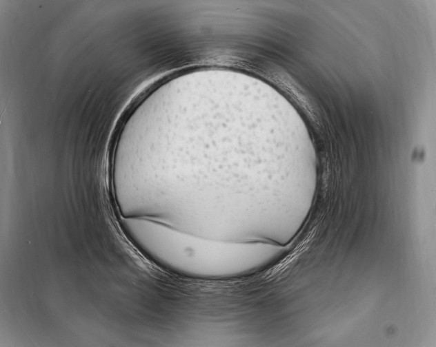 X0000098230940200805151338