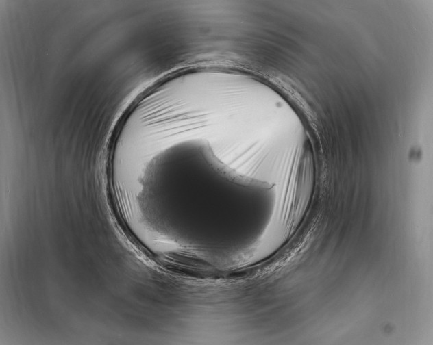 X0000098230941200805151338