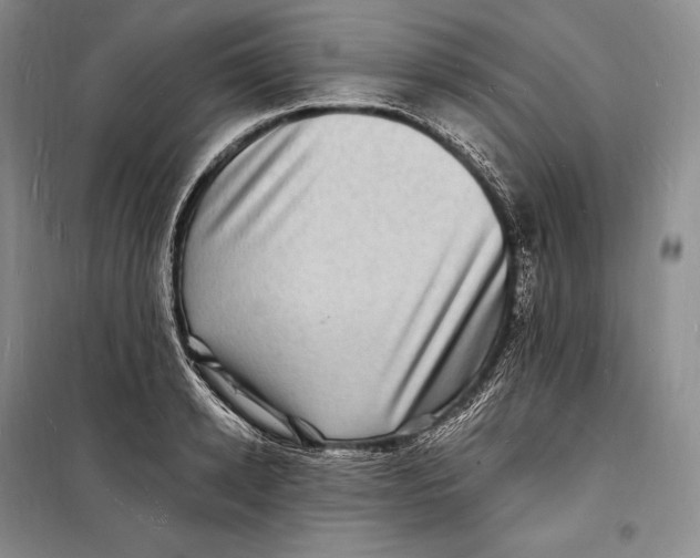 X0000098230942200805151338