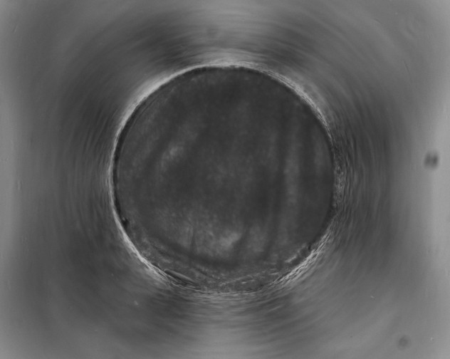 X0000098230943200805151338