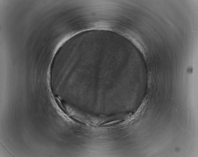 X0000098230944200805151338