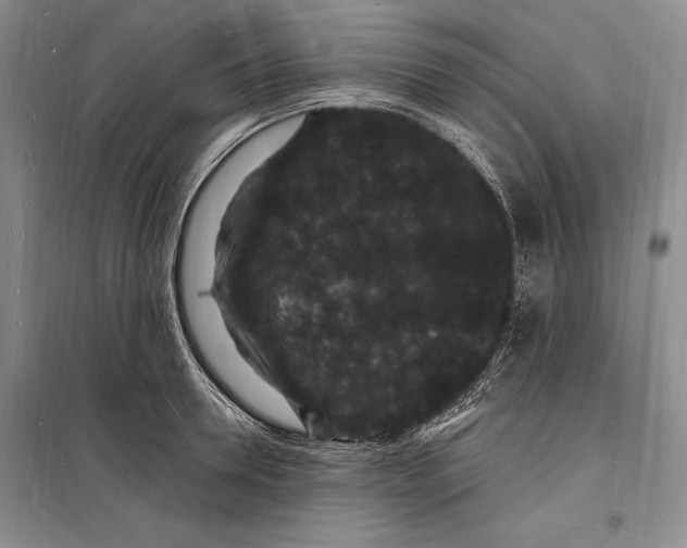 X0000098230946200805151338