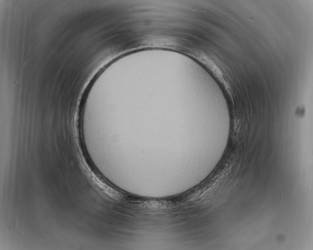 X0000098230947200805151338