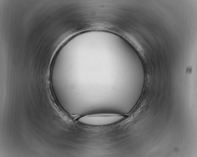 X0000098230948200805151338