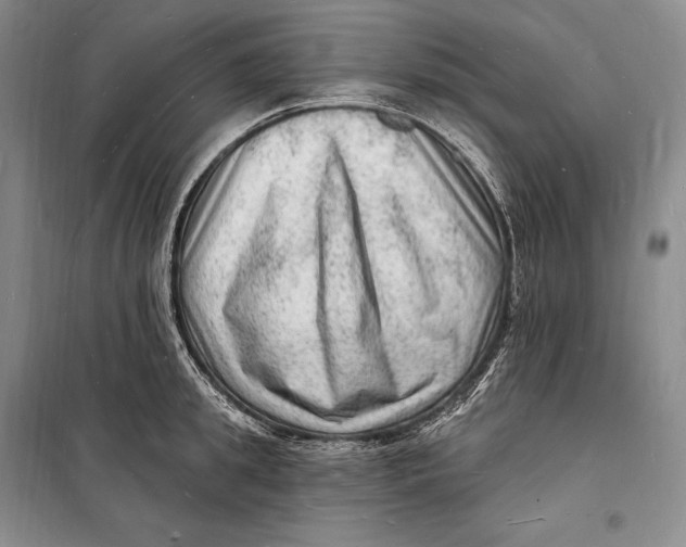 X0000098230949200805151338