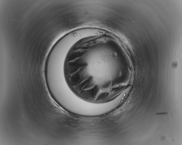 X0000098230950200805151338