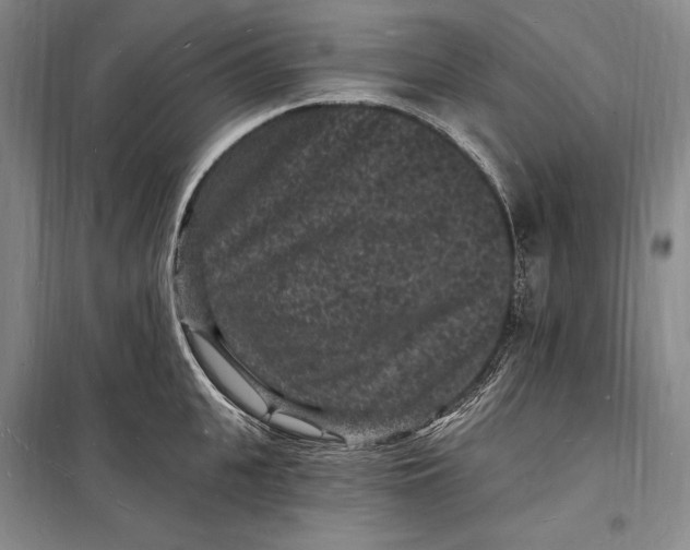 X0000098230951200805151338