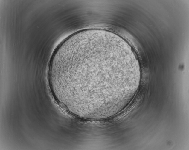 X0000098230952200805151338