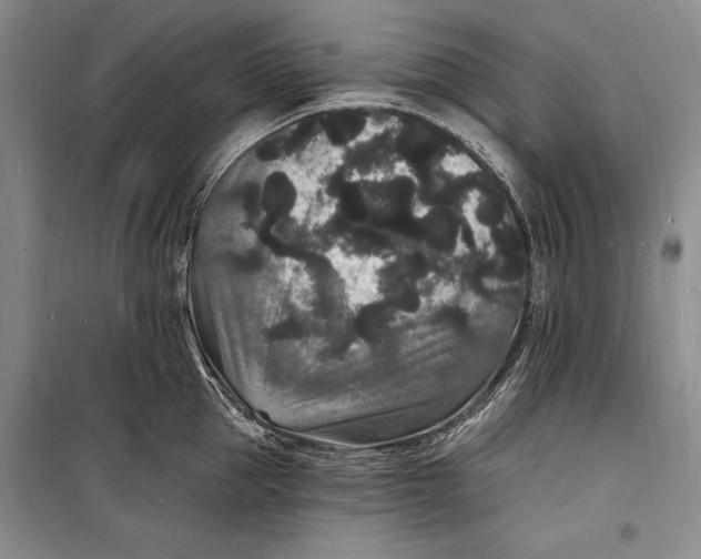 X0000098230953200805151338