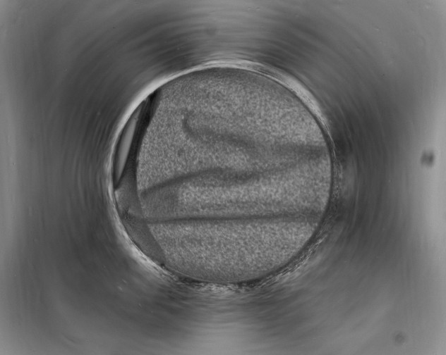 X0000098230955200805151338