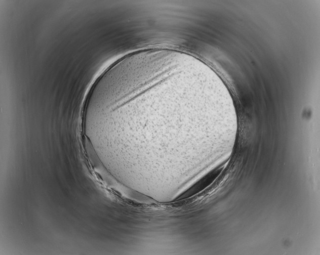 X0000098230956200805151338