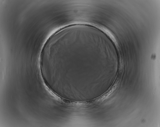 X0000098230958200805151338