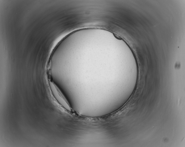 X0000098230960200805151338