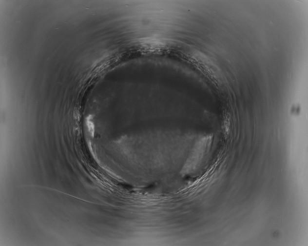 X0000098230964200805151337