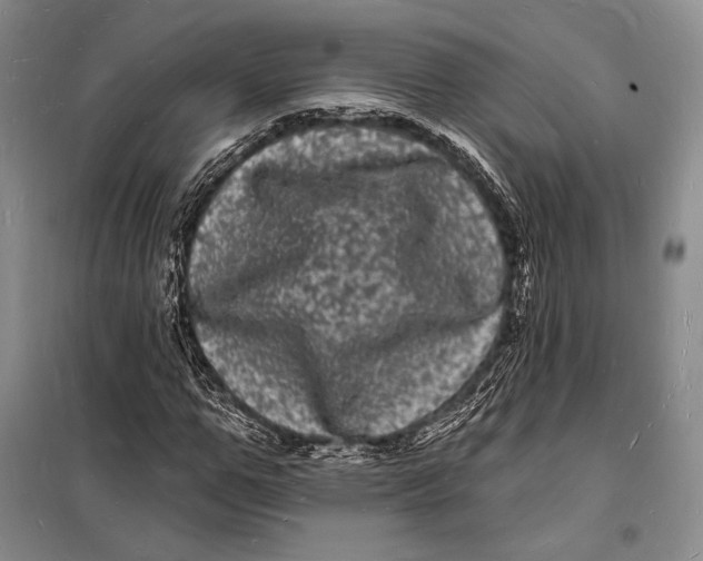 X0000098230967200805151337