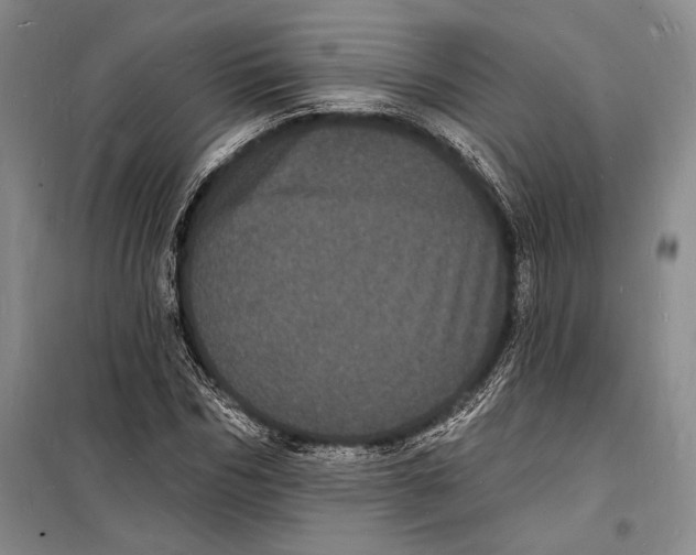 X0000098230970200805151337