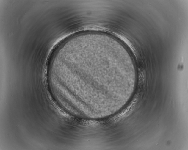 X0000098230971200805151337