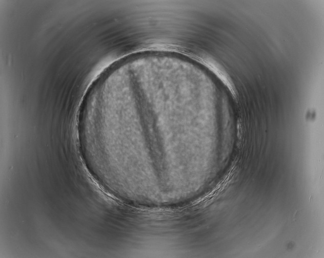 X0000098230972200805151337