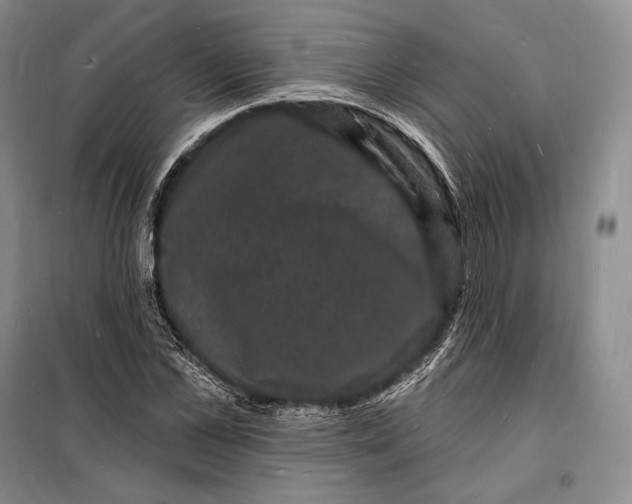 X0000098230973200805151337