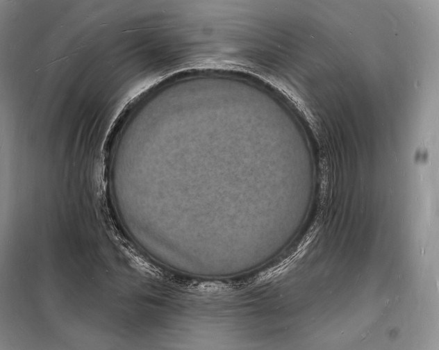 X0000098230974200805151337