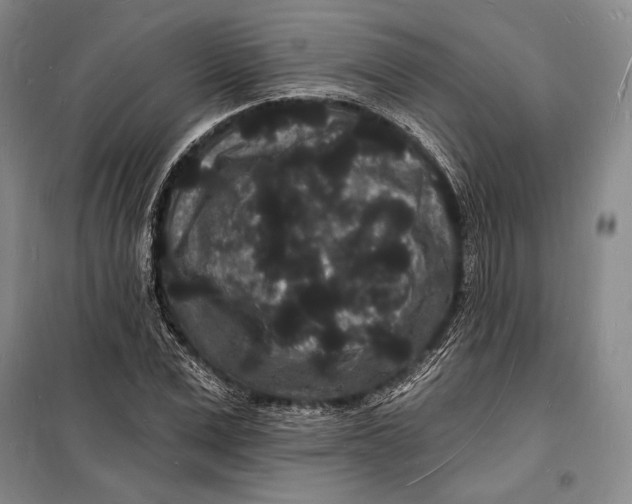 X0000098230975200805151337