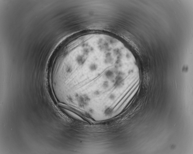 X0000098230976200805151337