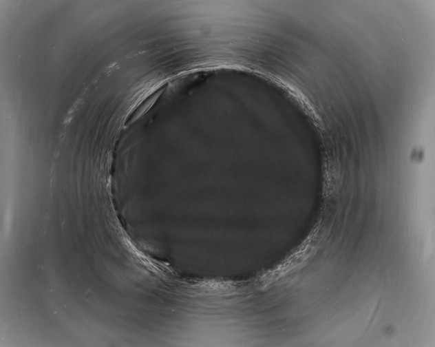 X0000098230977200805151337