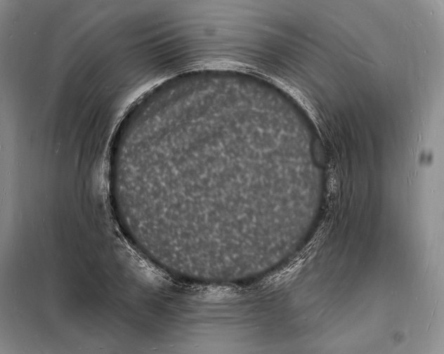 X0000098230979200805151337