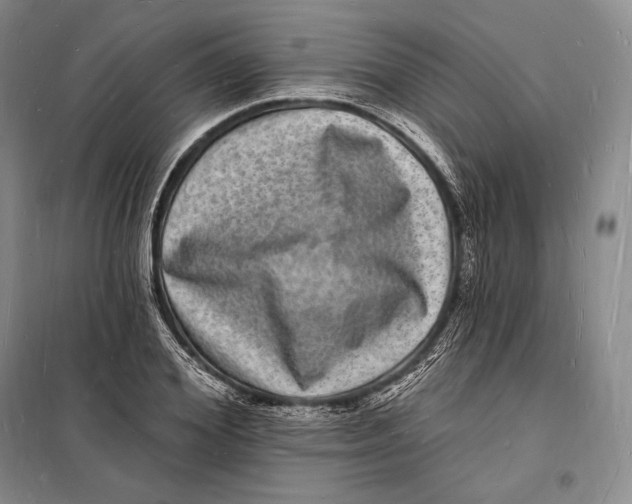 X0000098230980200805151337