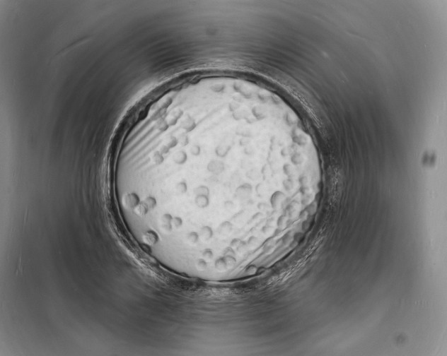 X0000098230982200805151337