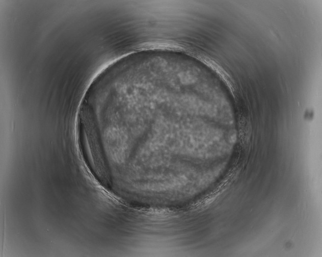 X0000098230983200805151337